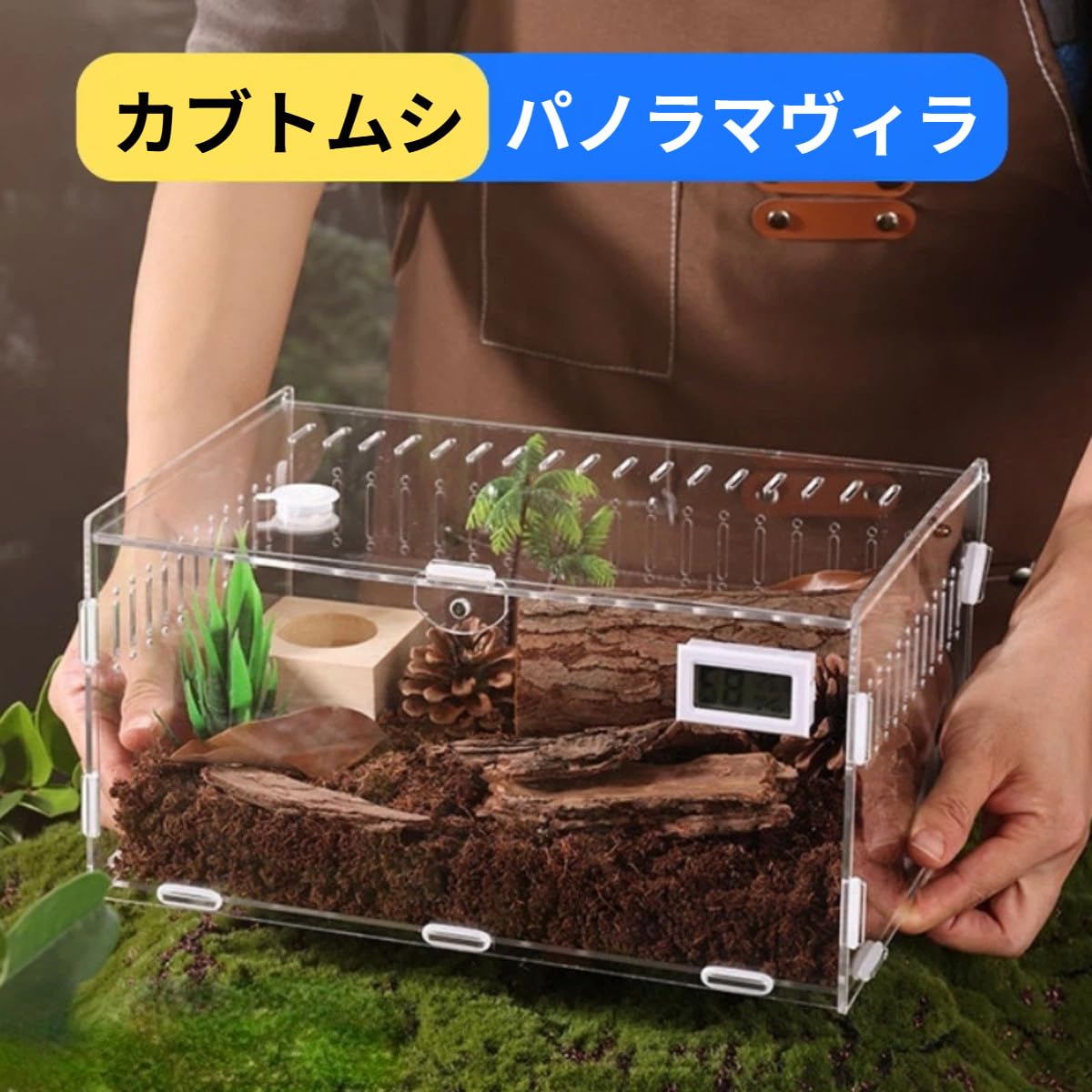 Amazon | Traxomi カブトムシ飼育ケース クワガタ・ヘラクレス