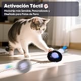 Ver la foto 5