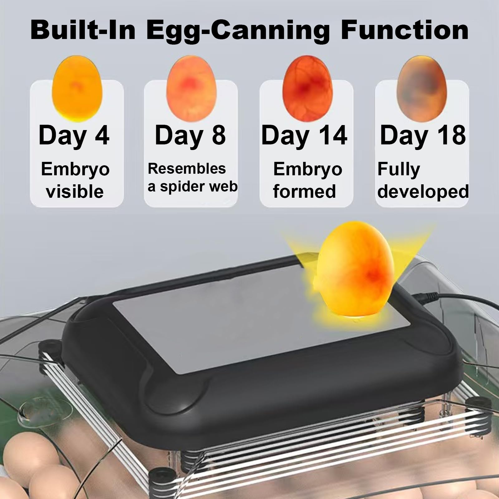 Inkubator Do Jaj Wylęgowych Z Automatycznym Obracaniem Jaj, Wyświetlaczem Temperatury I Wilgotności, Dla Kurczaków, Gęsi, Kaczek(Size:24 eggs,Color:pojedyncza moc)