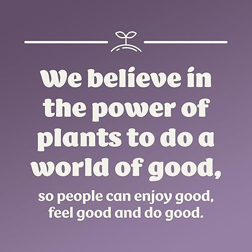 Miniatura 5 de Silk Crema de avena, galleta de avena, suave, deliciosamente cremosa, sin lácteos y sin gluten, de la marca número 1 de cremas a base de plantas,