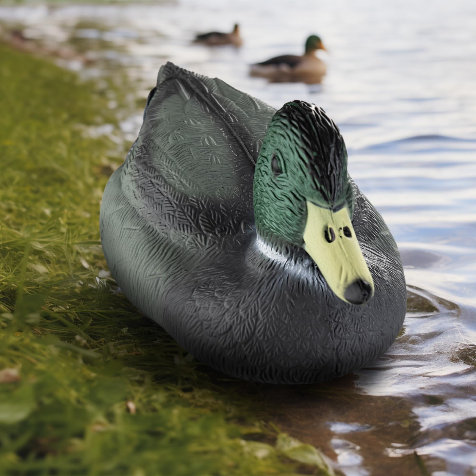 Señuelos de pato, señuelo de caza de patos, decoración de jardín, señuelo de pato flotante para piscina, estanque y lago, un hombre, una mujer.