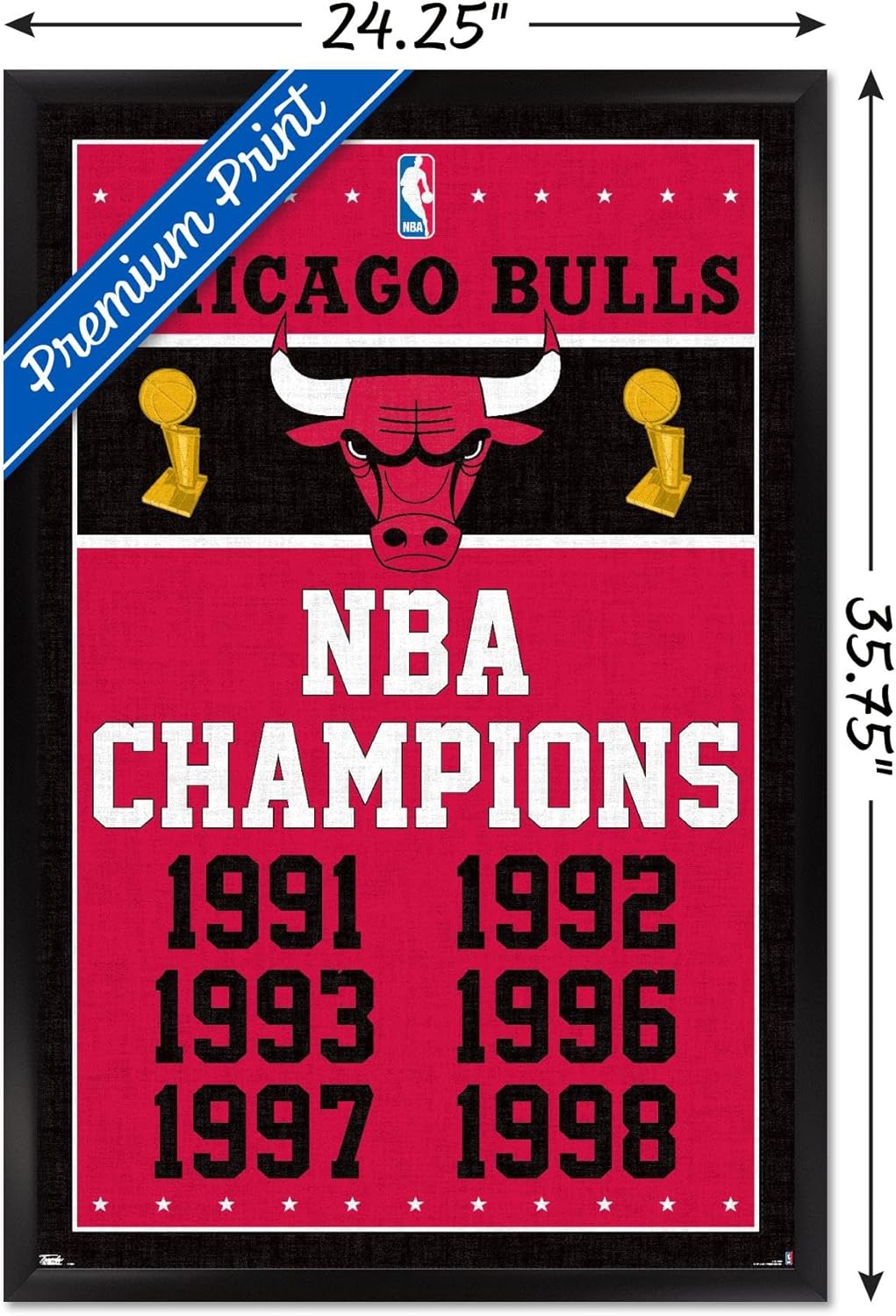 Trends International NBA Chicago Bulls - Champions 13 Wall Poster, 22.375" x 34", Black Framed Version