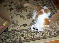 Review Image by Sam's Mom Sam's Mom