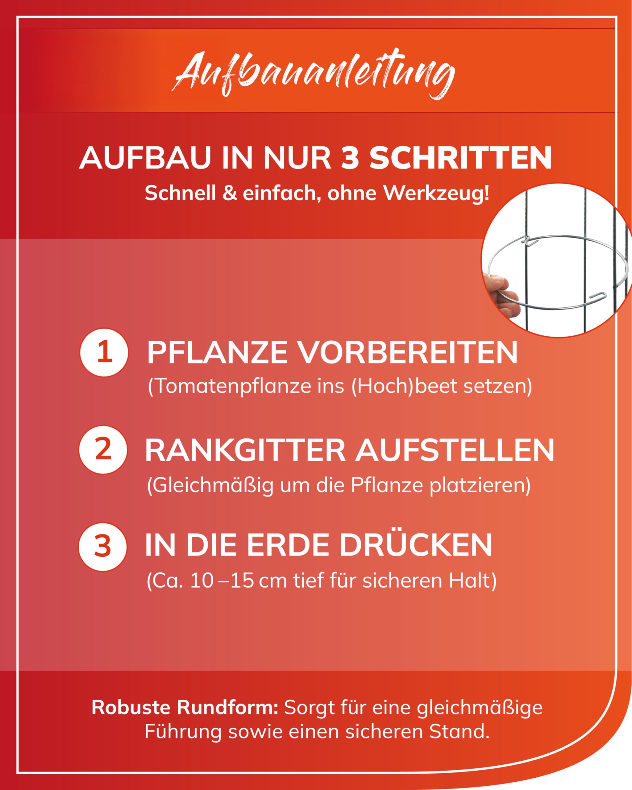 bellissa Tomaten Rankhilfe Spirale 3 Stück Metall verzinkt 175 cm | Wetterfestes Rankgitter für Gemüse, Gurken & Stangenbohnen Stabile Pflanzenstütze & Rankstäbe für den Garten