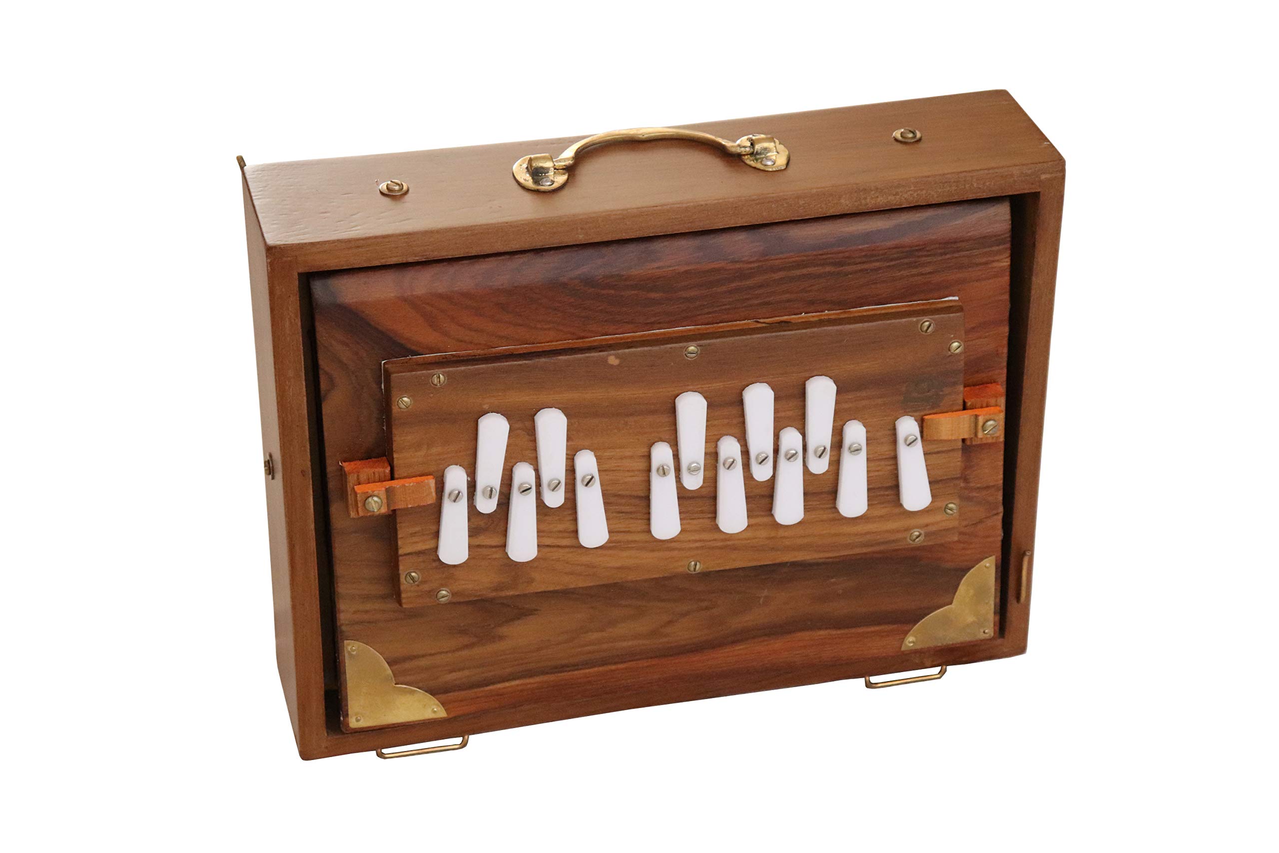 Shruti Box Raga Mini Professionnel en Teck - Gamme de Do à Do (3 à 4), 30 x 22 x 8,5 cm, 2 kg, Accordage 440 Hz