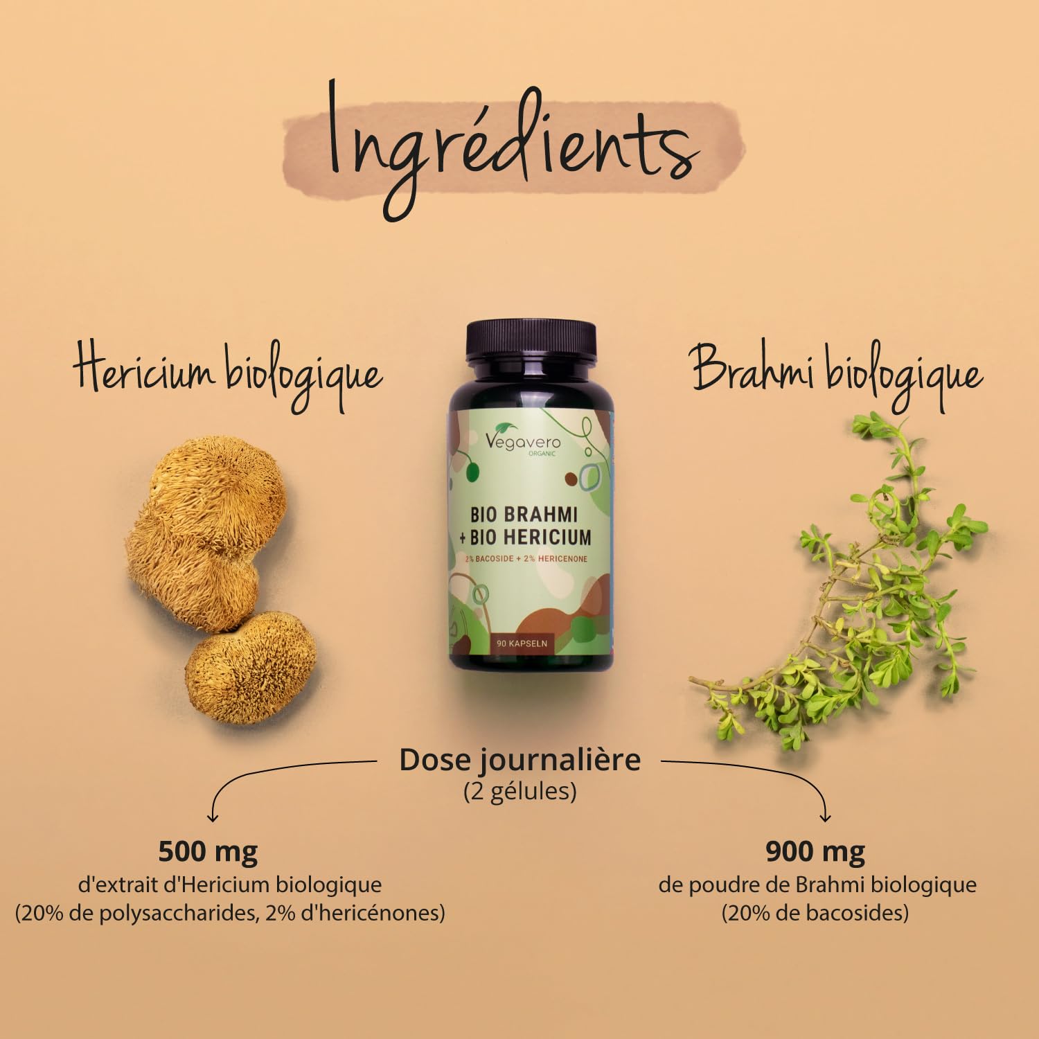 Hericium Erinaceus + Bacopa Monnieri BIO | Nootropique : Mémoire, Concentration | 10000 mg Lions Mane (20:1) + 900 mg Brahmi | Combinaison Unique | VEGAN | 90 Gélules | Vegavero®