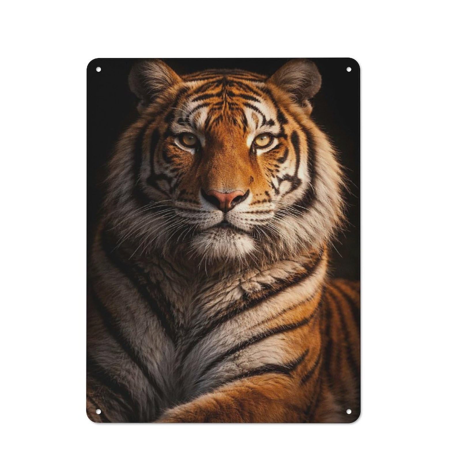 Junmoney Style-4 Cottage Style Close-Up Of A Tigers Face Decorative Tin Sign 40X30cm, Rustic Kitchen Decor For Kitchen, Cottage, Porch Or Garden Room