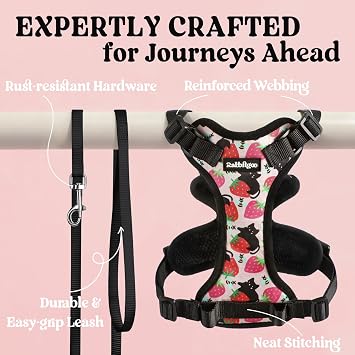 rabbitgoo Cat Harness and Leash Set, Escape Proof Vest, Berry Pounce