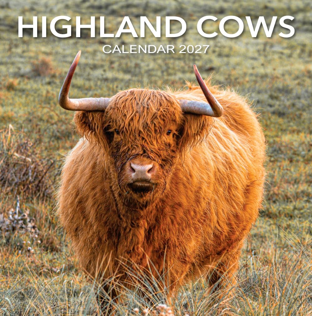 2027 Scotland Calendar: Highland Cows - Square Wall Calendar - Month to View - 12 Months