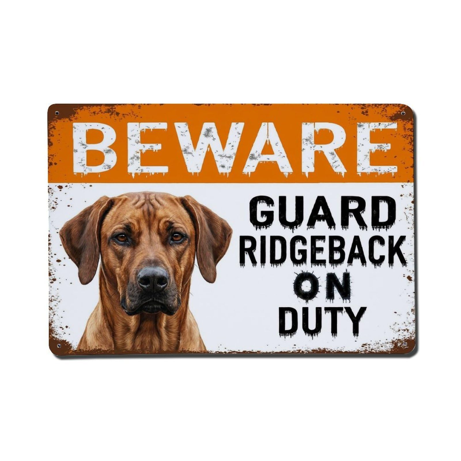 Vintage Funny Ridgeback Guard Beware of Dog Spot Metal Tin Sign