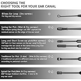 Hion 6 Pcs Ear Wax Removal Kit,Professional Double-Headed Ear Pick Earwax Removal Tools,316L Stainless Steel Ear Cleaner Curette with Cleaning Brush and Storage Box,Suit for Kid Adult(Black)