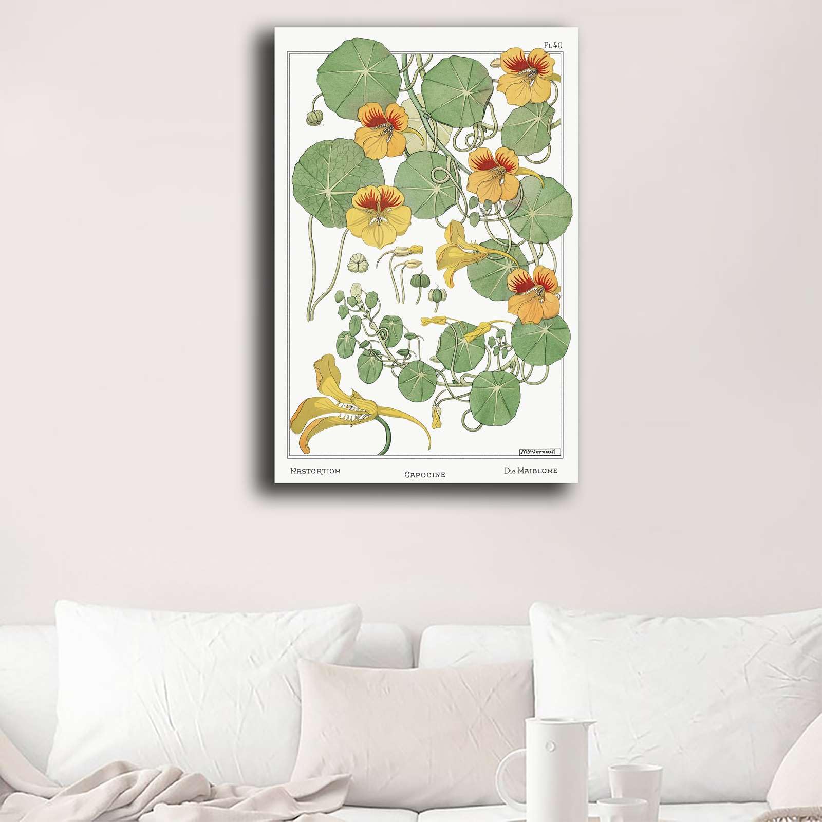 Chen Lin Canvas Print - Nasturtium Flower Antique Lithograph Poster, 12x18 Inch, Unframed Wall Art - View #3