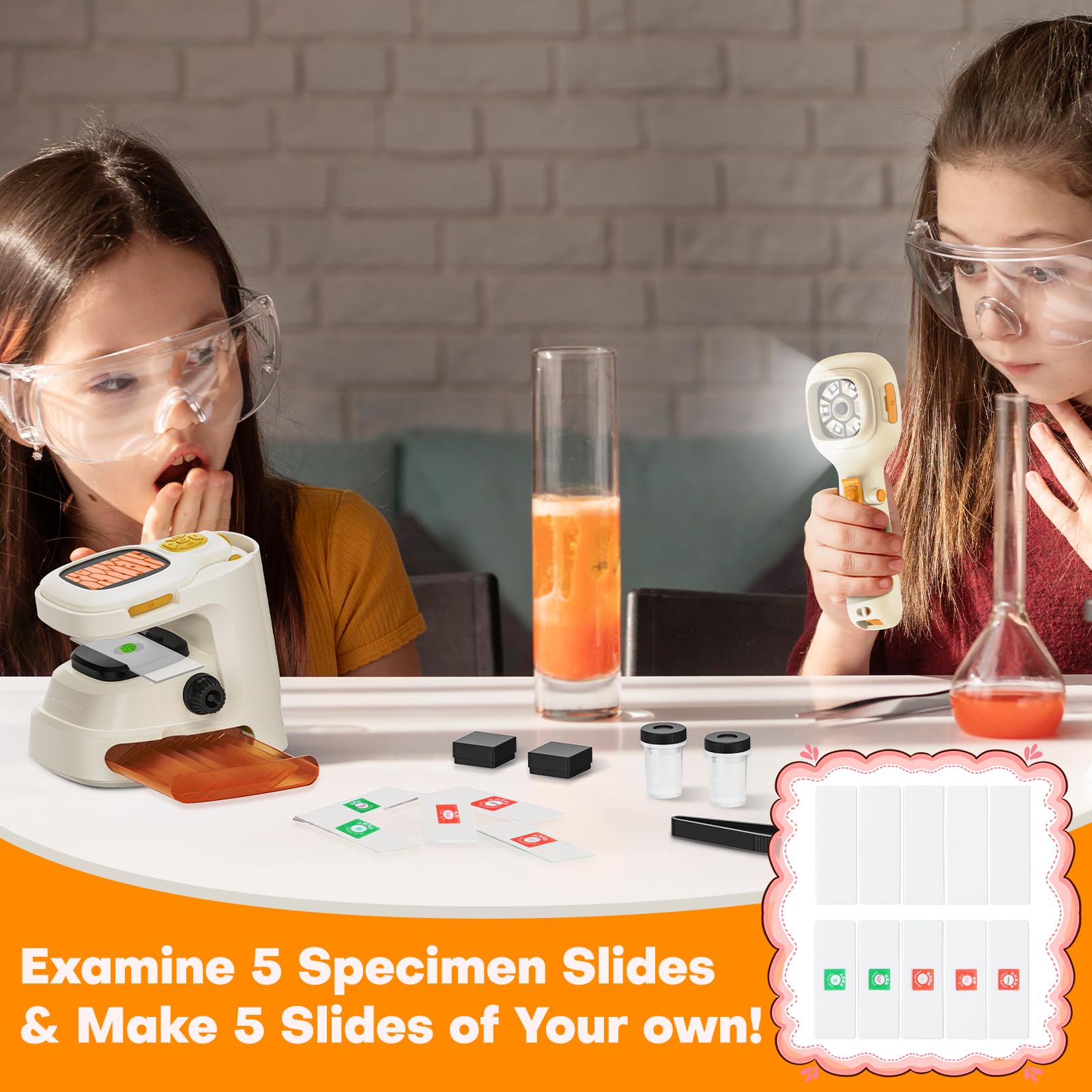 Little Scientist Microscope numérique pour enfants, microscope portable 1000X pour enfants, mini microscope photo et vidéo avec écran HD de 5,1 cm, microscope portable Little Scientist pour enfants de Little Scientist Microscope numérique pour enfants, microscope portable 1000X pour enfants, mini microscope photo et vidéo avec écran HD de 5,1 cm, microscope portable Little Scientist pour enfants de