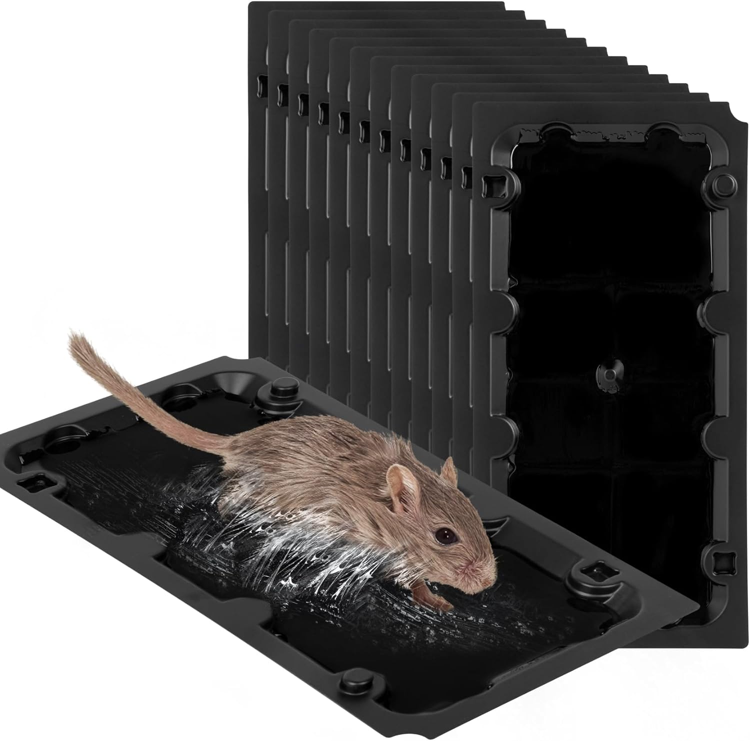 12 Pack Sticky Mouse Trap Rat Traps Indoor, Peanut Taste Pheromone Mouse Traps Indoor for Home, Glue Sticky Traps for Mice and Rats, Snake(Large Size)