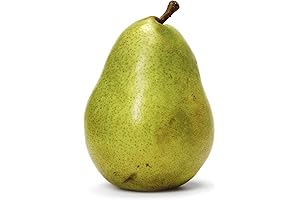 Organic Anjou Pear