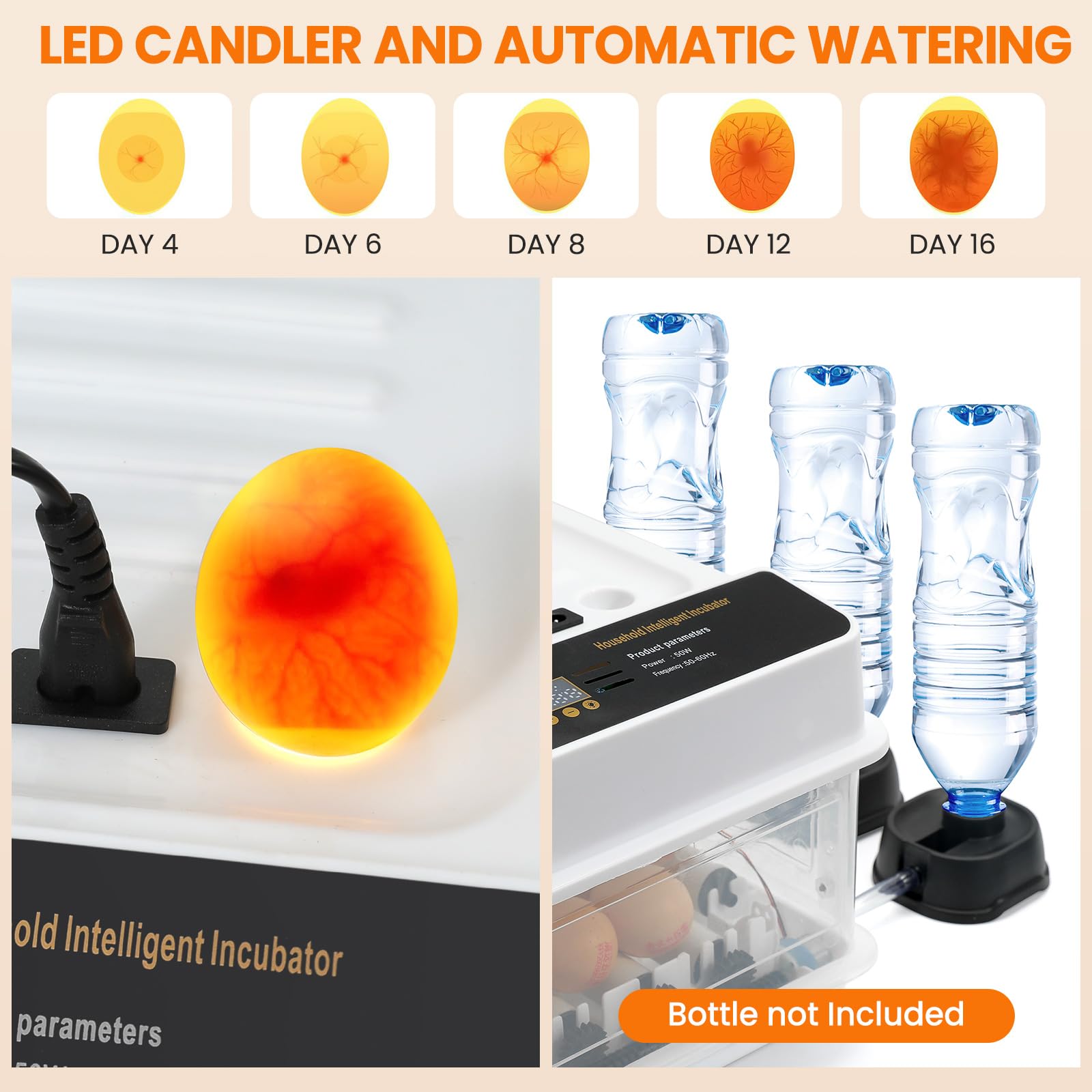 Incubadora totalmente automática, giro automático de 10 a 36 huevos, control de temperatura para incubadora, acceso automático de agua, indicador de humedad para pollos, patos, gansos y palomas (36