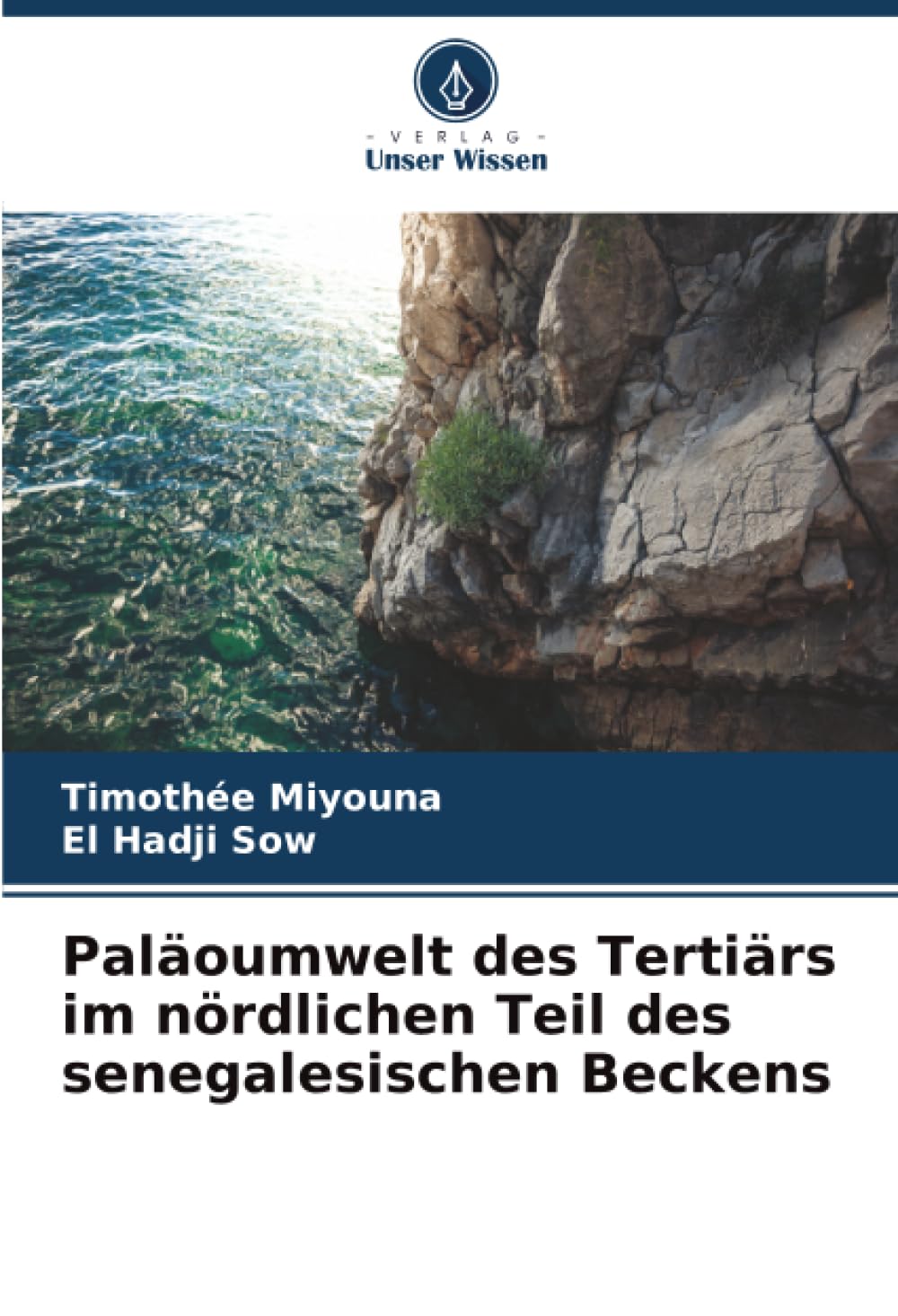Paläoumwelt des Tertiärs im nördlichen Teil des senegalesischen Beckens