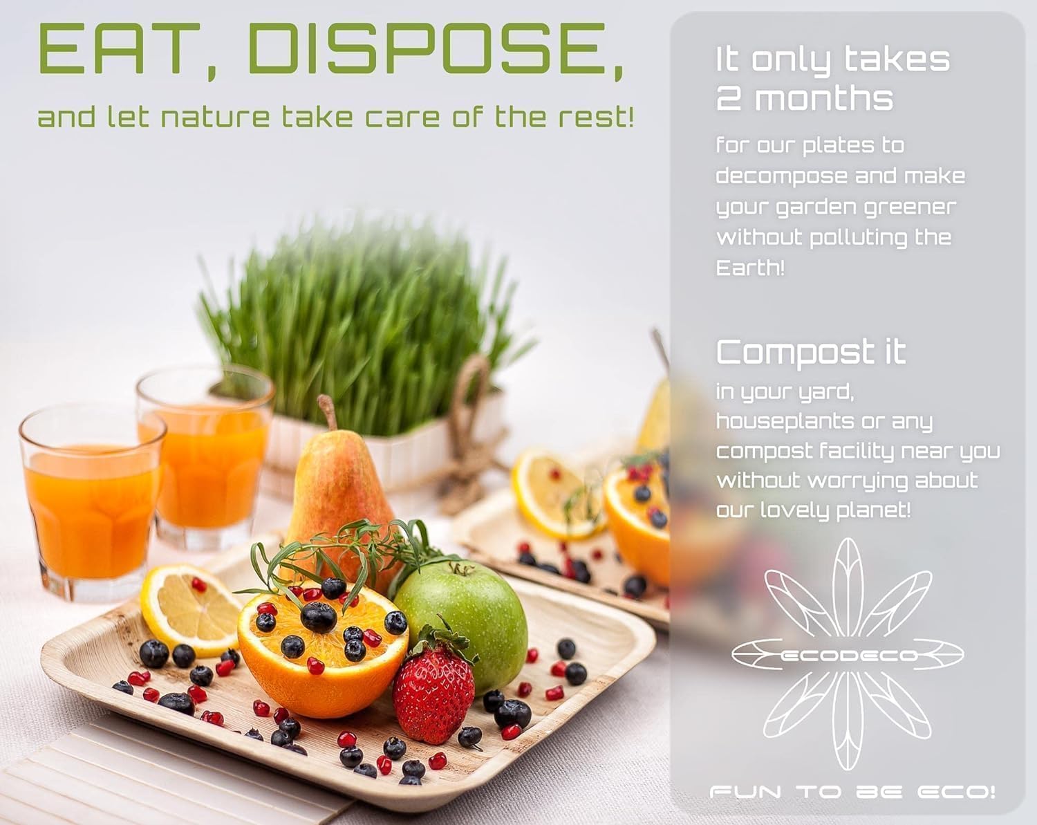 ECODECO Palm Leaf Plates - 100 Pack 6-Inch Square Disposable Durable Dinnerware for Weddings, Catering & Events - Like Bamboo Natural Leaf Look