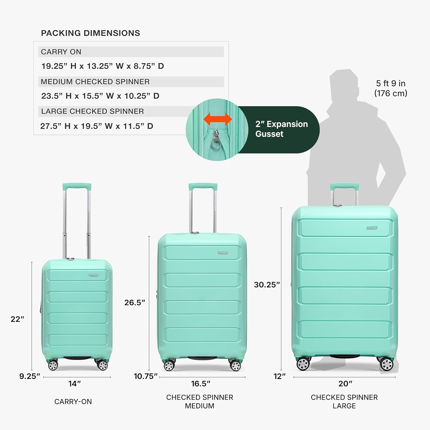 Traveler's Choice Pagosa Hardshell Expandable Luggage with Spinner Wheels, Mint, 22-Inch Carry-on