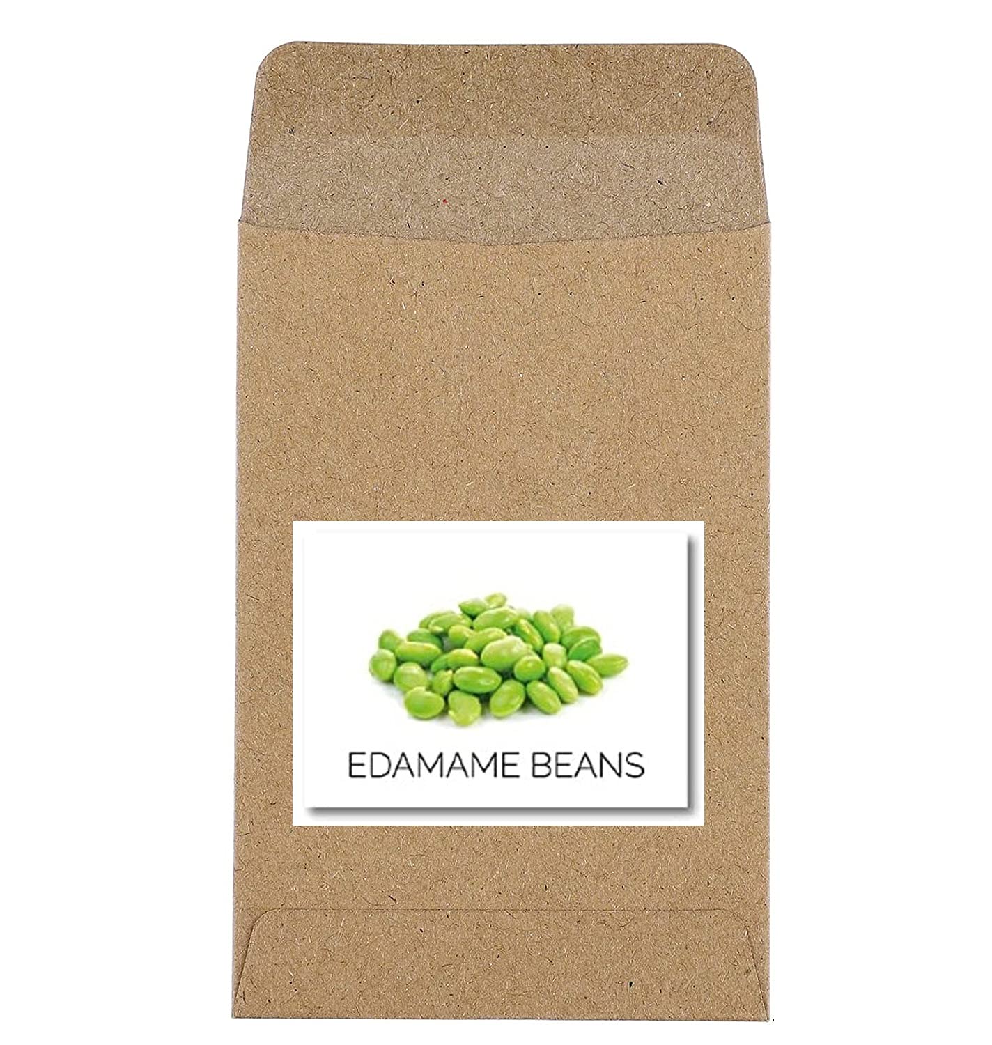 VibeX Guarenteed Germination Edamame Beans Seeds100 Seeds Amazon.in