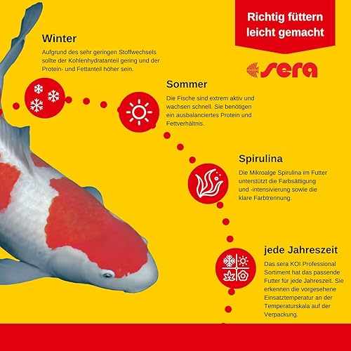 Miniatura 6 de sera 7009 KOI Professional PrimaveraOtoño 15.4 lb 15.4 lbs Alimento para mascotas, talla única