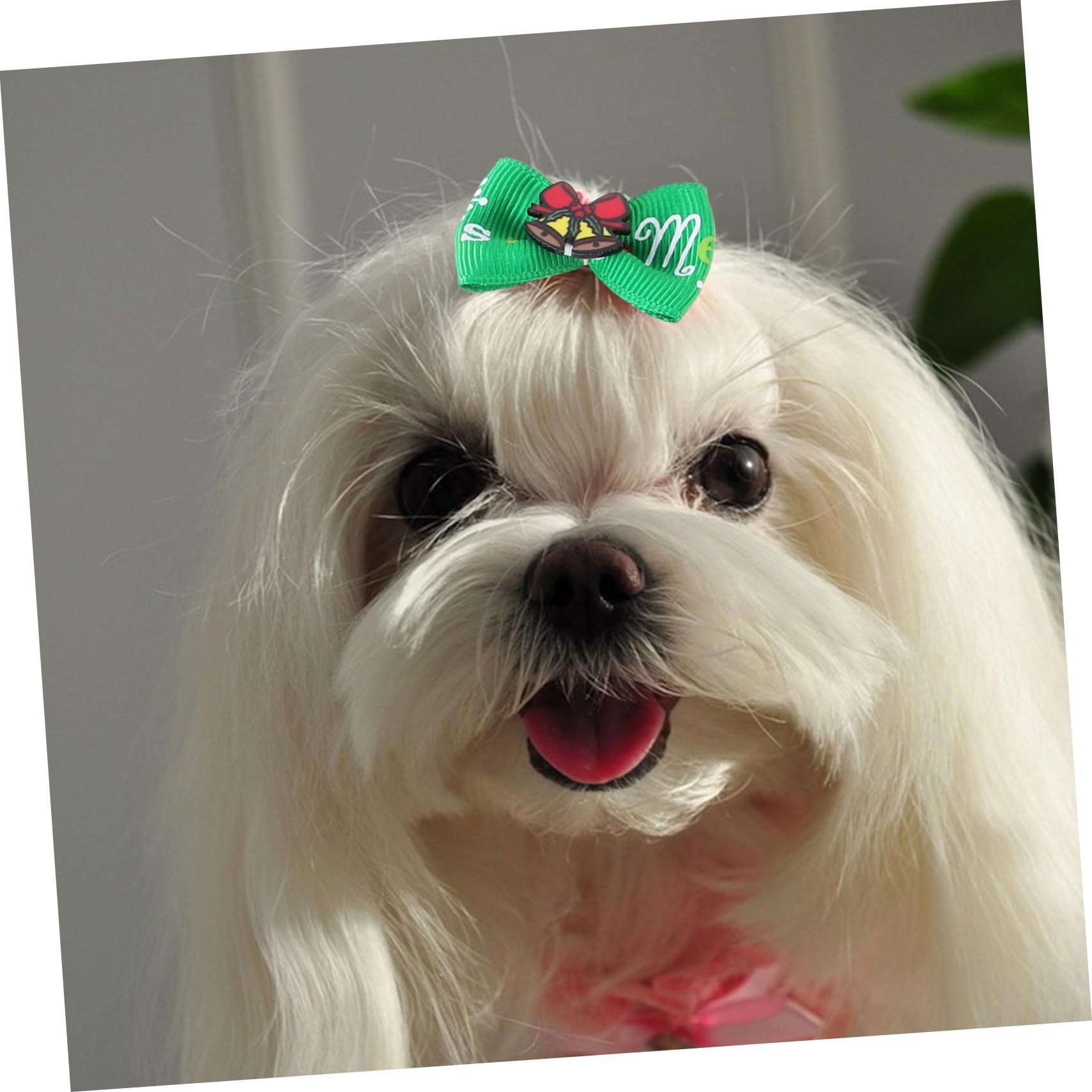 BESPORTBLE Fiocchi Cane 200 Pz Porta di Animali Domestici Ciuffo di Bowknot del Cucciolo per Animali Domestici Abito da Cane Cravatta per di Natale Cravatta per di Animali Domestici