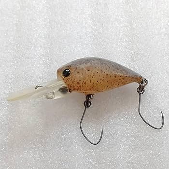 Amazon.co.jp: ラッキークラフト ボトム クラピー イカ貼り LUCKY