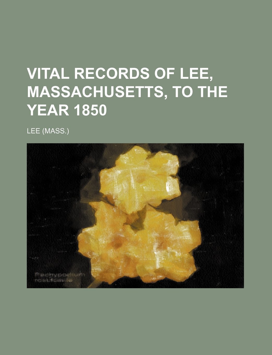 Vital Records of Lee, Massachusetts, to the Year 1850