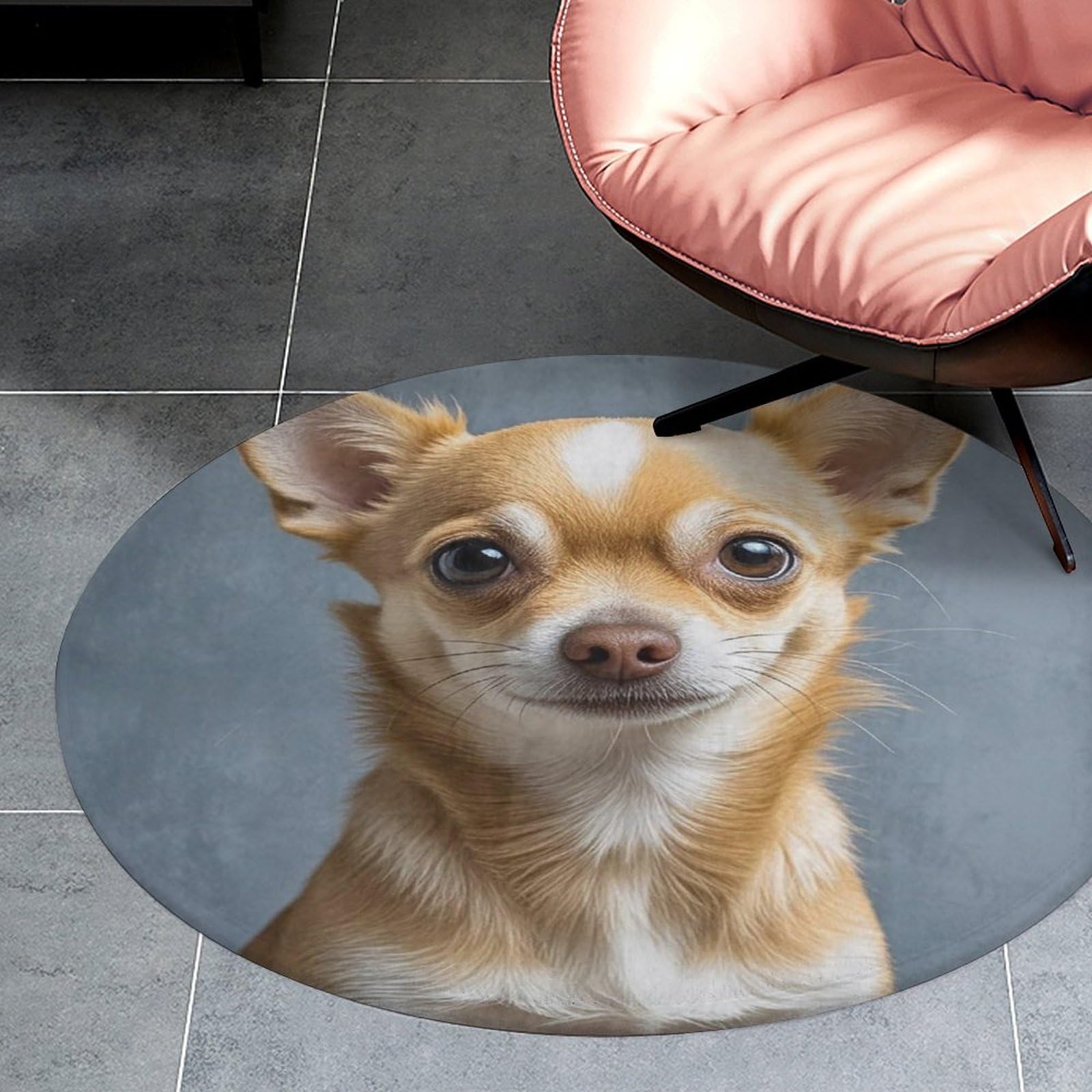 Tapis pour salon motif joli chihuahua pour créer un coin lecture doux
