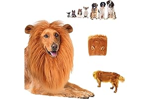 Lion Mane for Dog - Majestic Transformation for Large Dogs