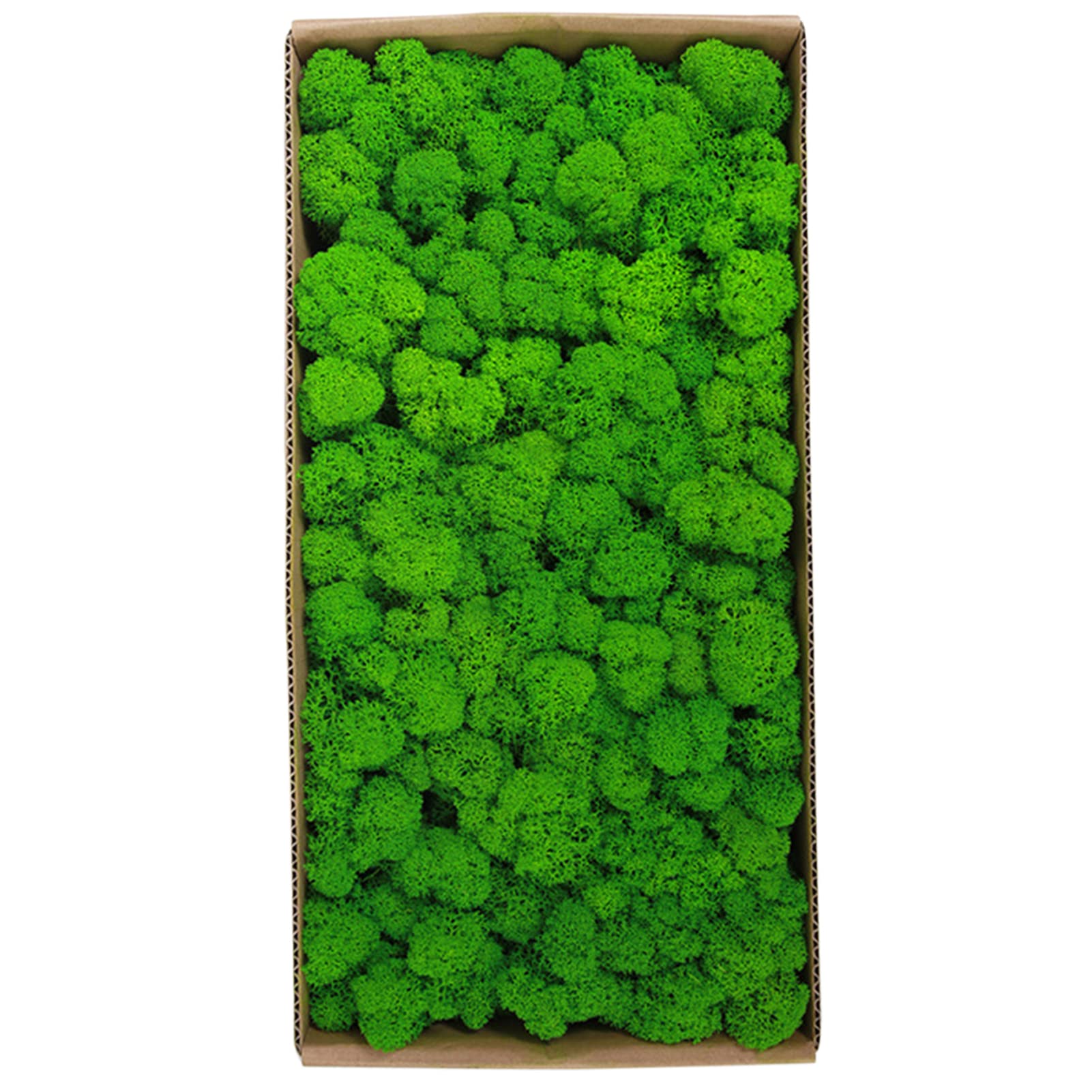 zhoujie Preserved Moss Wall Decor Real Preserved Moss No Maintenance Required Naturally Preserved Moss for Home Wall Party Festivals Crafts Xmas Indoor Office Decoration