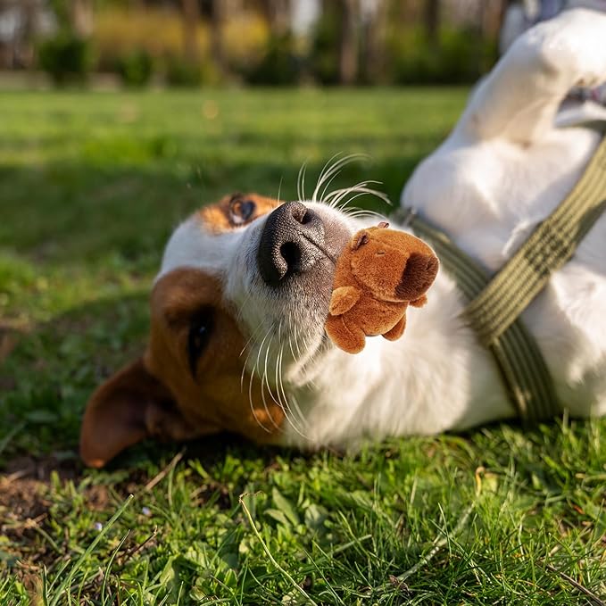 Juguete de Peluche para Perro con Chirriador, Capibara miniatura 8