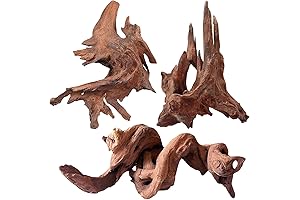 Natural Driftwood for Aquarium Decorations