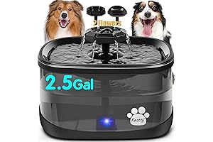 Dogness Smart Water Fountain: The Ultimate Hydration Haven for Your Furry Friends