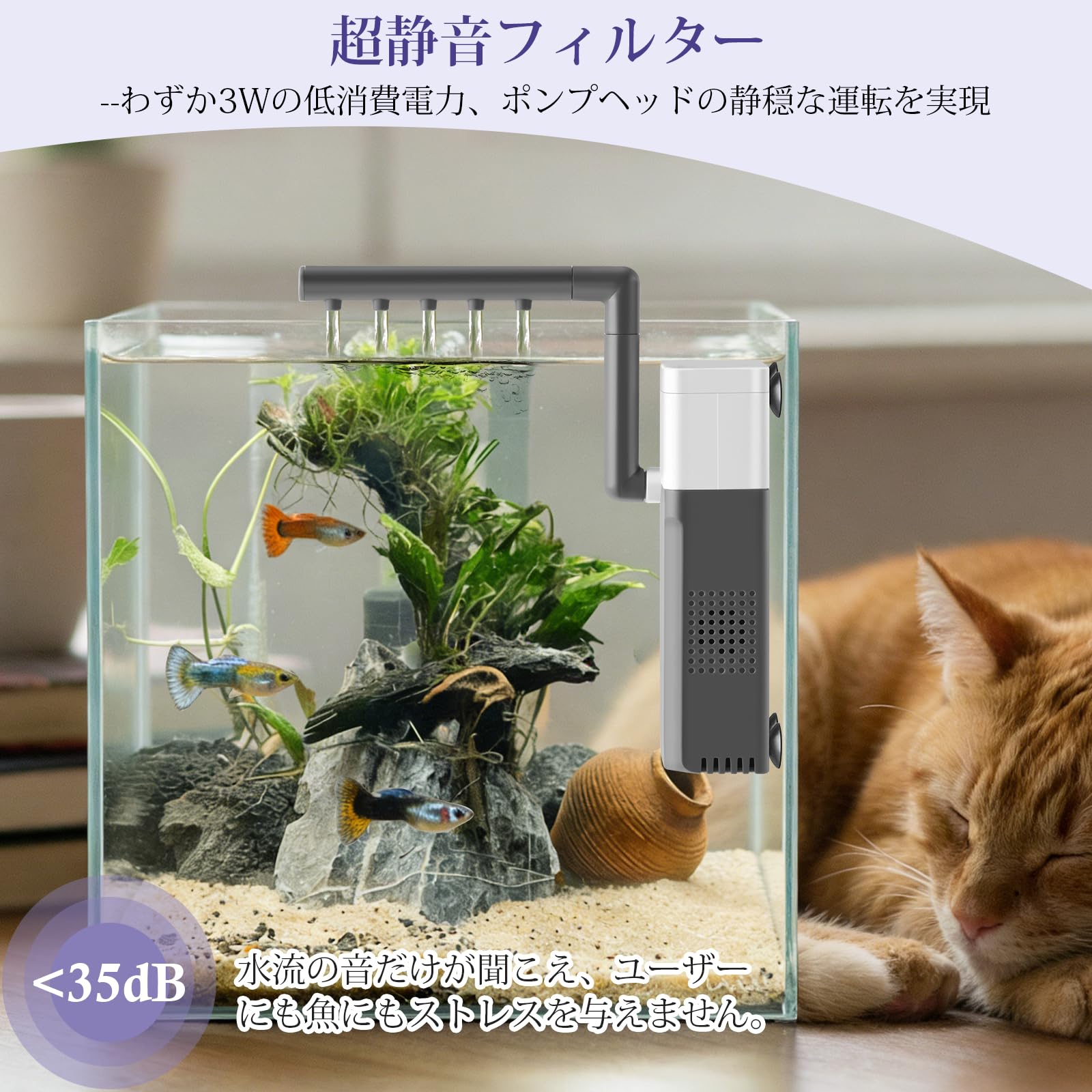 ⚠️もちおページ 45cmイモリウム水槽濾過器付き ⚠️もちおページ 45cmイモリウム水槽濾過器付き ⚠️もちおページ