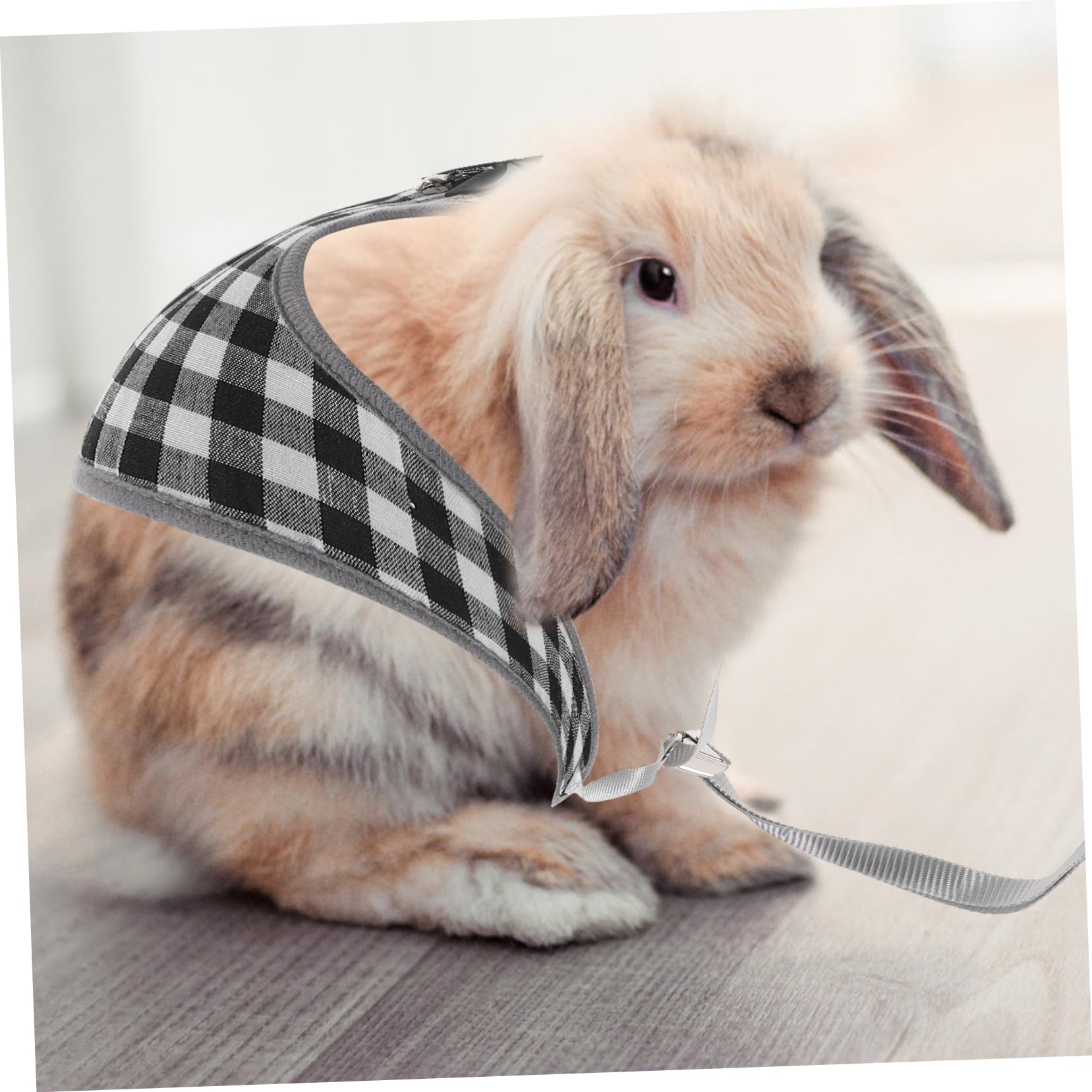 BESPORTBLE 4sätze Haustier Outfit Für Kaninchen Stylisches Und Bequemes Bunny Kostüm Mit Leine Für Partys Und Besondere Anlässe Aus Hautfreundlicher