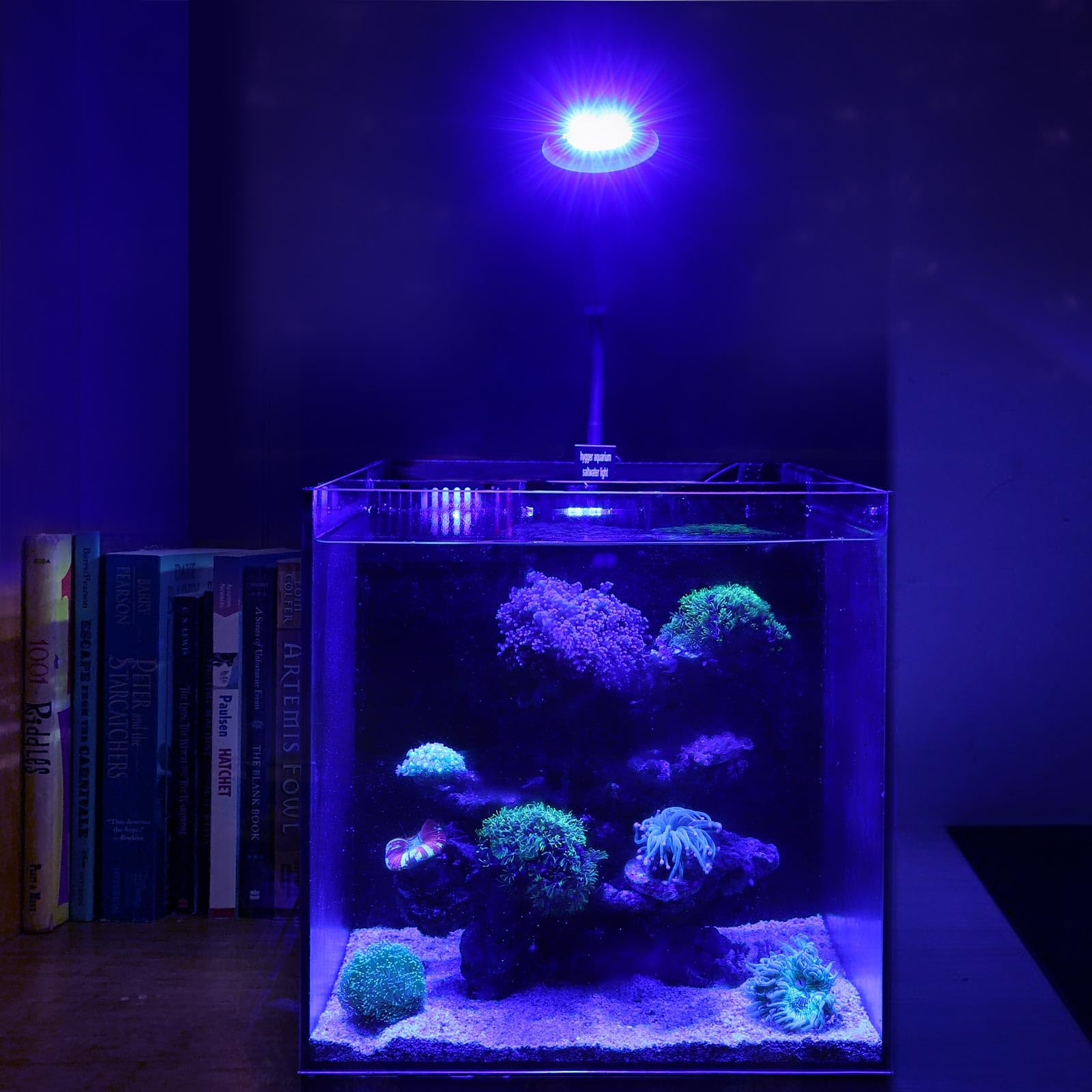hygger Clip On Luce Led per Acquario di Acqua Salata,30W Illuminazione per Acquario, Luminosità Regolabile Saltwater Aquarium Light con 3 Impostazioni di Temporizzazione per Corallo Acquario Marino