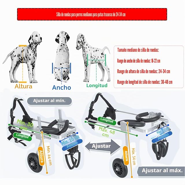 Foto 2 de 7 de Silla de ruedas ajustable para perros para patas traseras, rehabilitación, 2 ruedas