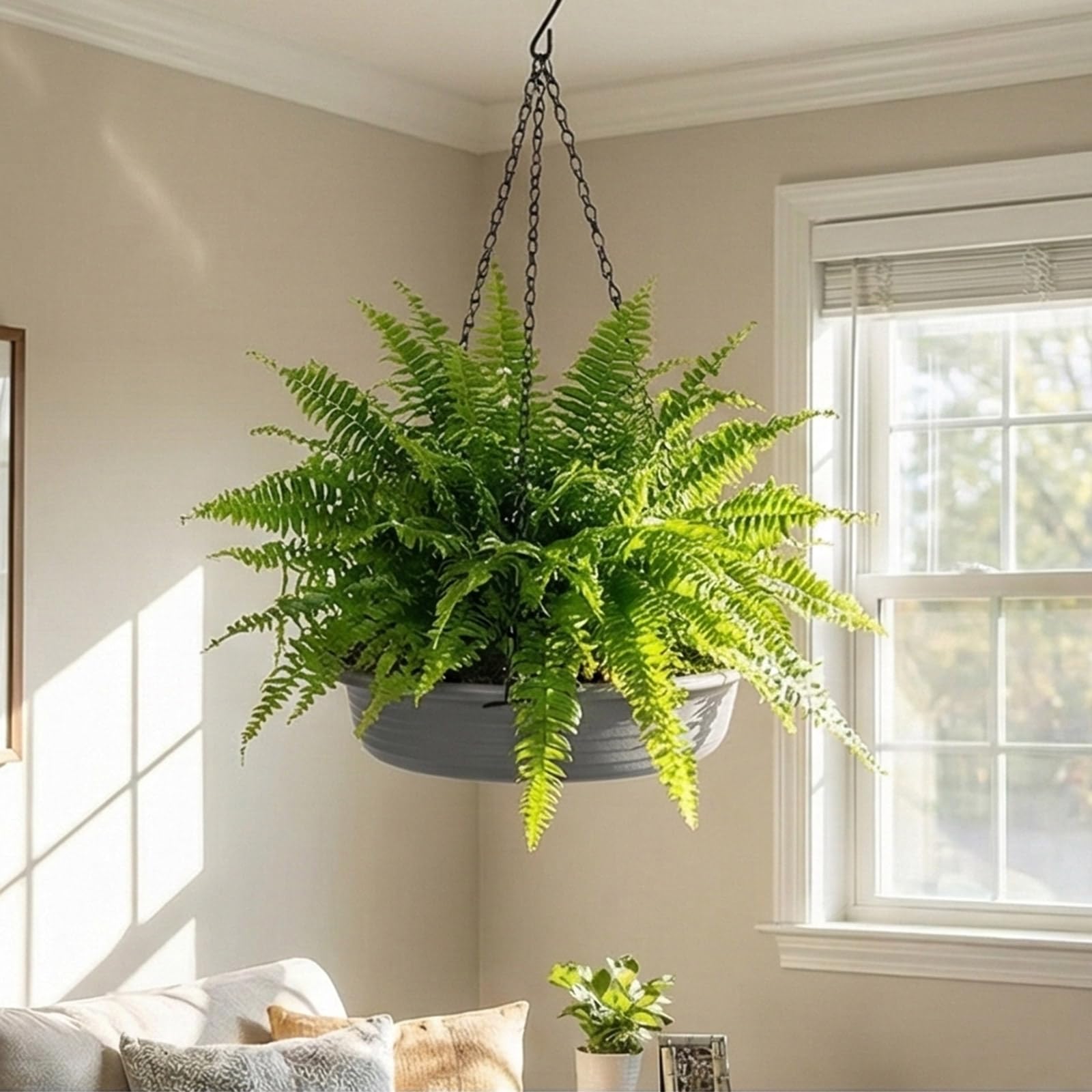 Lot de 2 cintres réglables en métal pour plantes d'intérieur et d'extérieur, support de suspension antirouille