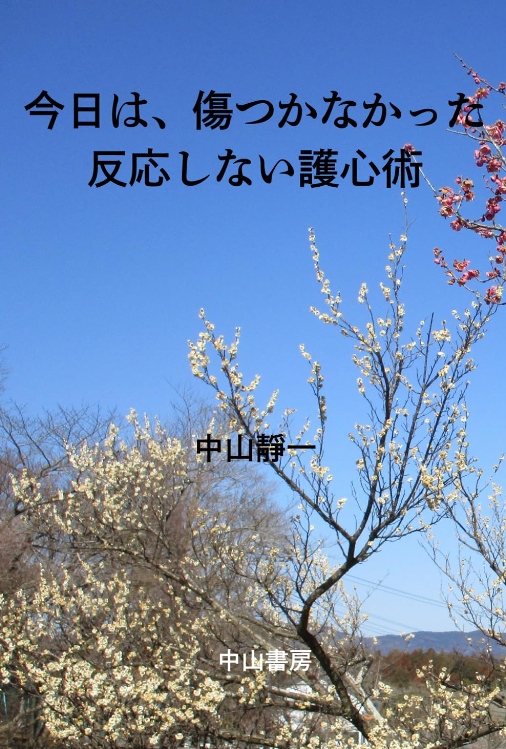 今日は、傷つかなかった: 反応しない護心術
