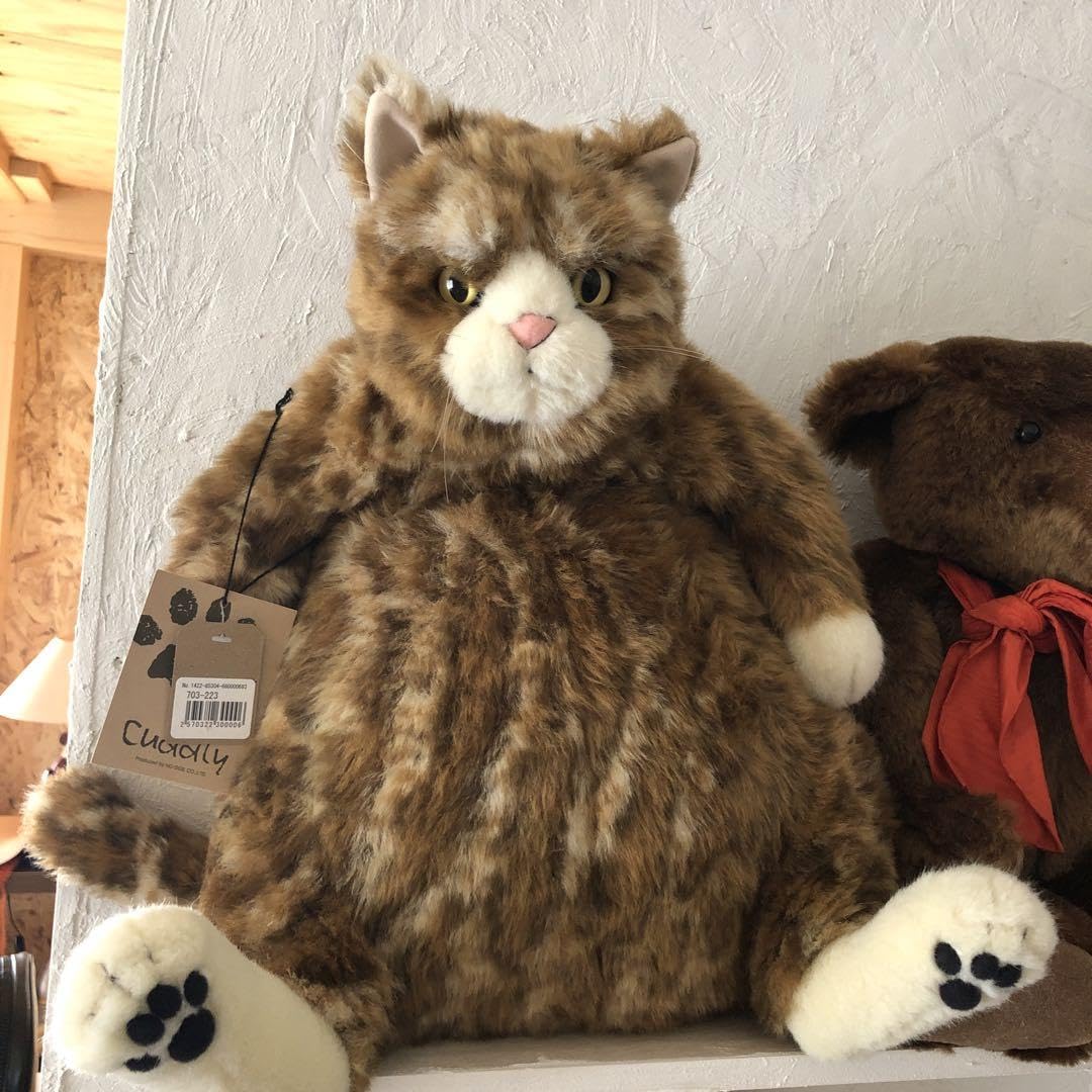 Amazon.co.jp: カドリーCuddly ムッシュ Muche 猫ぬいぐるみ : おもちゃ