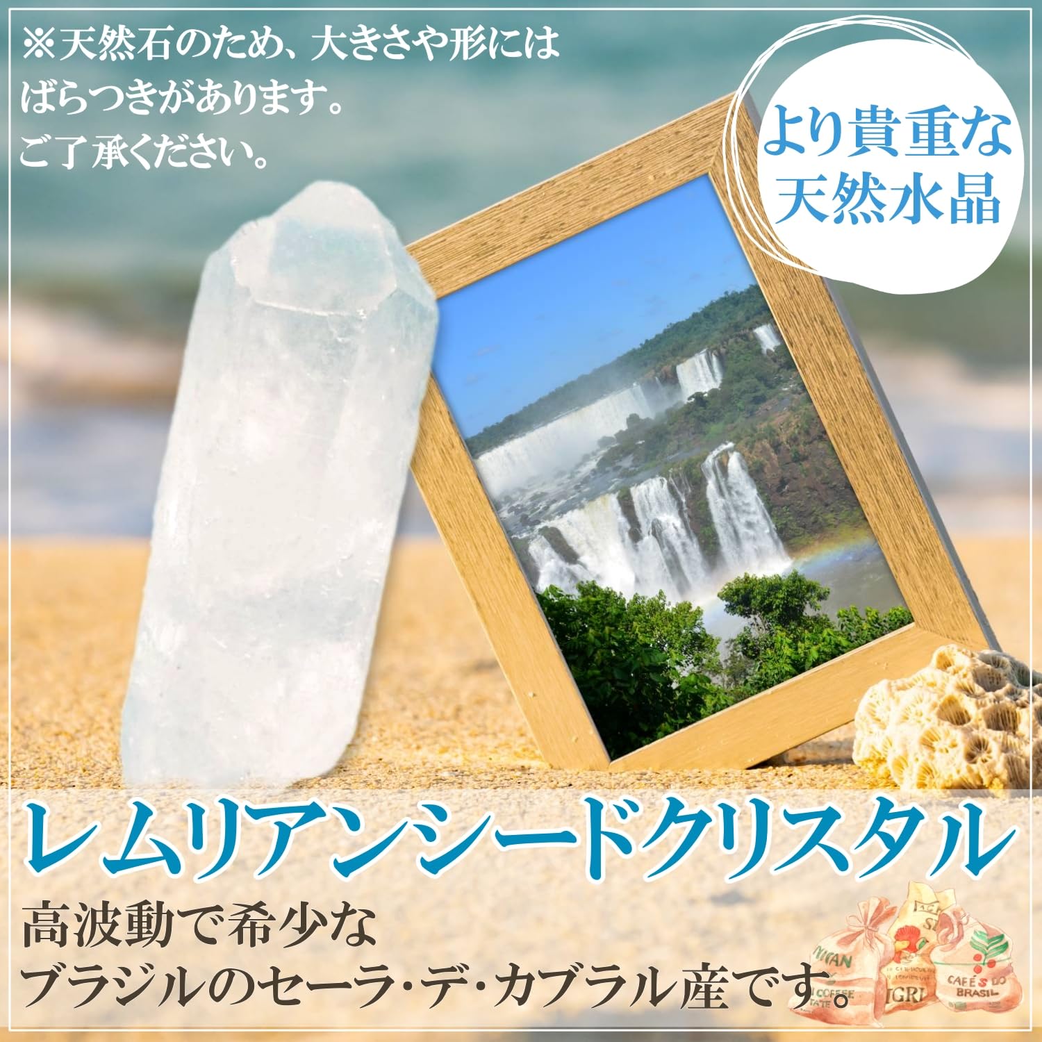 Amazon.co.jp: 【BIOSONICS社製正規品】バイオソニックス ゴールド 