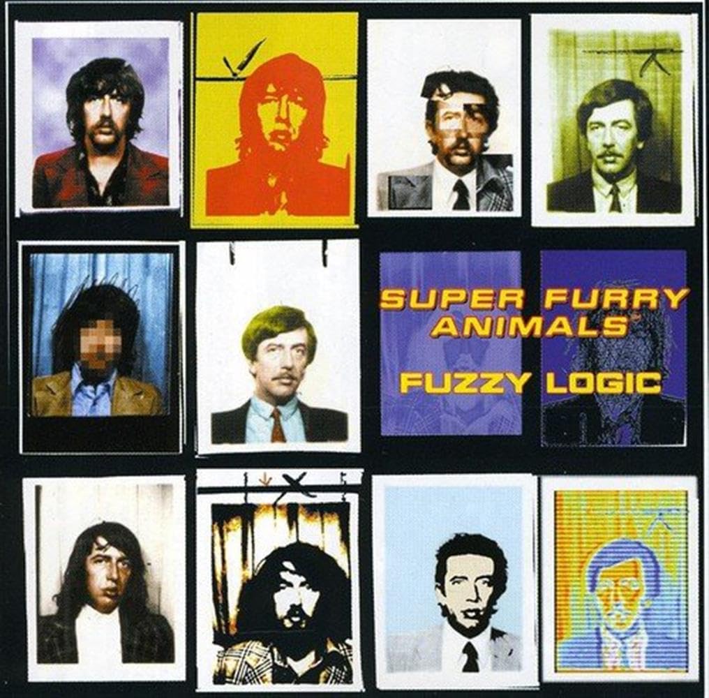 Fuzzy Logic