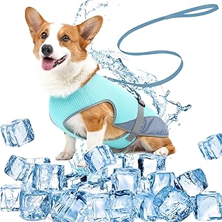 DKDDSSS Dog Cooling Vest, Breathable Dog Cooling Vest, Summer Cool Dog Jacket, Cool Comfortable Dog Coat, for Small to Medium Dog Activities, Outdoor Training (Blue, M) product image