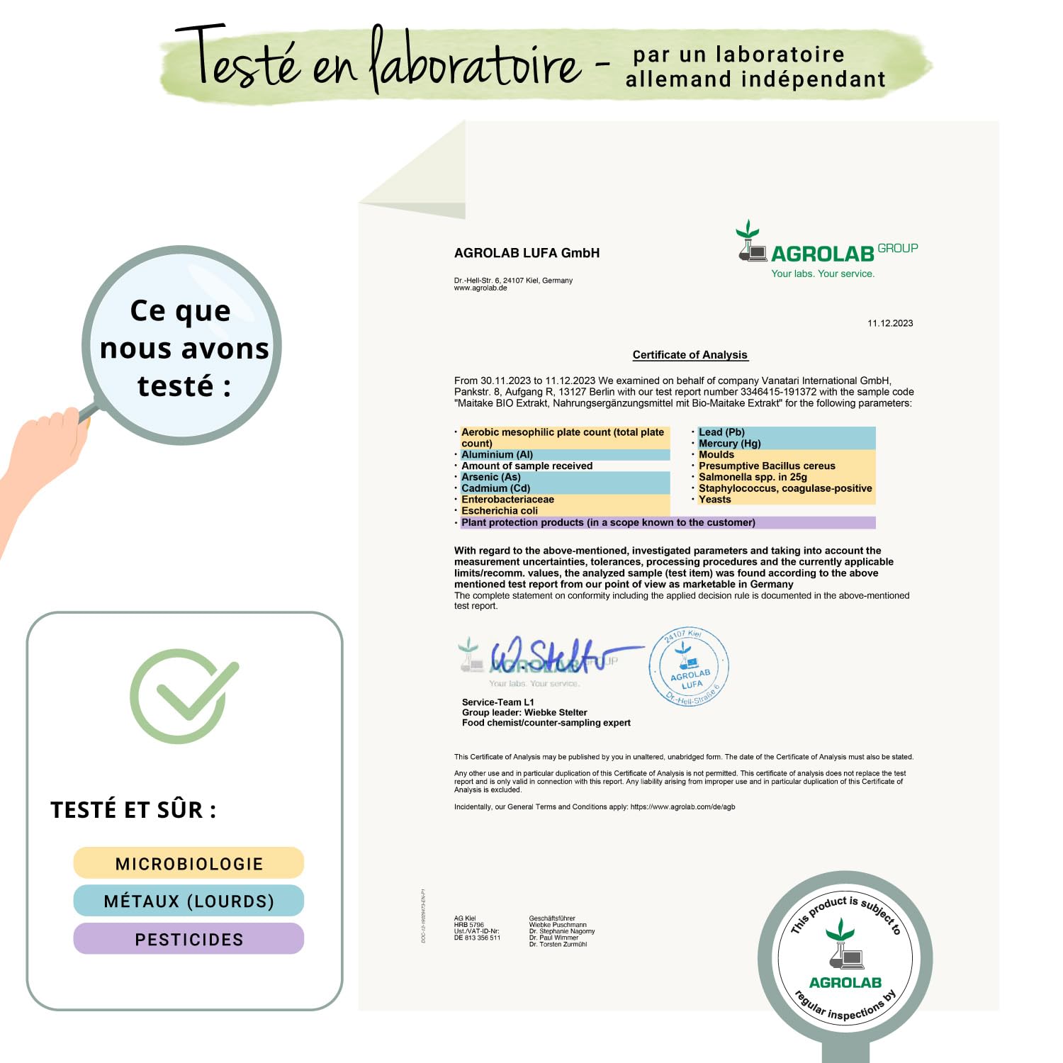 Maitake BIO Vegavero® | Dosage Élevé : 7500 mg | Extrait Standardisé à 50% de Polysaccharides | Antioxydant Naturel + Anti Stress | Sans Additifs | 60 Gélules | VEGAN