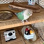 Review Image by Avery Ackerman Avery Ackerman