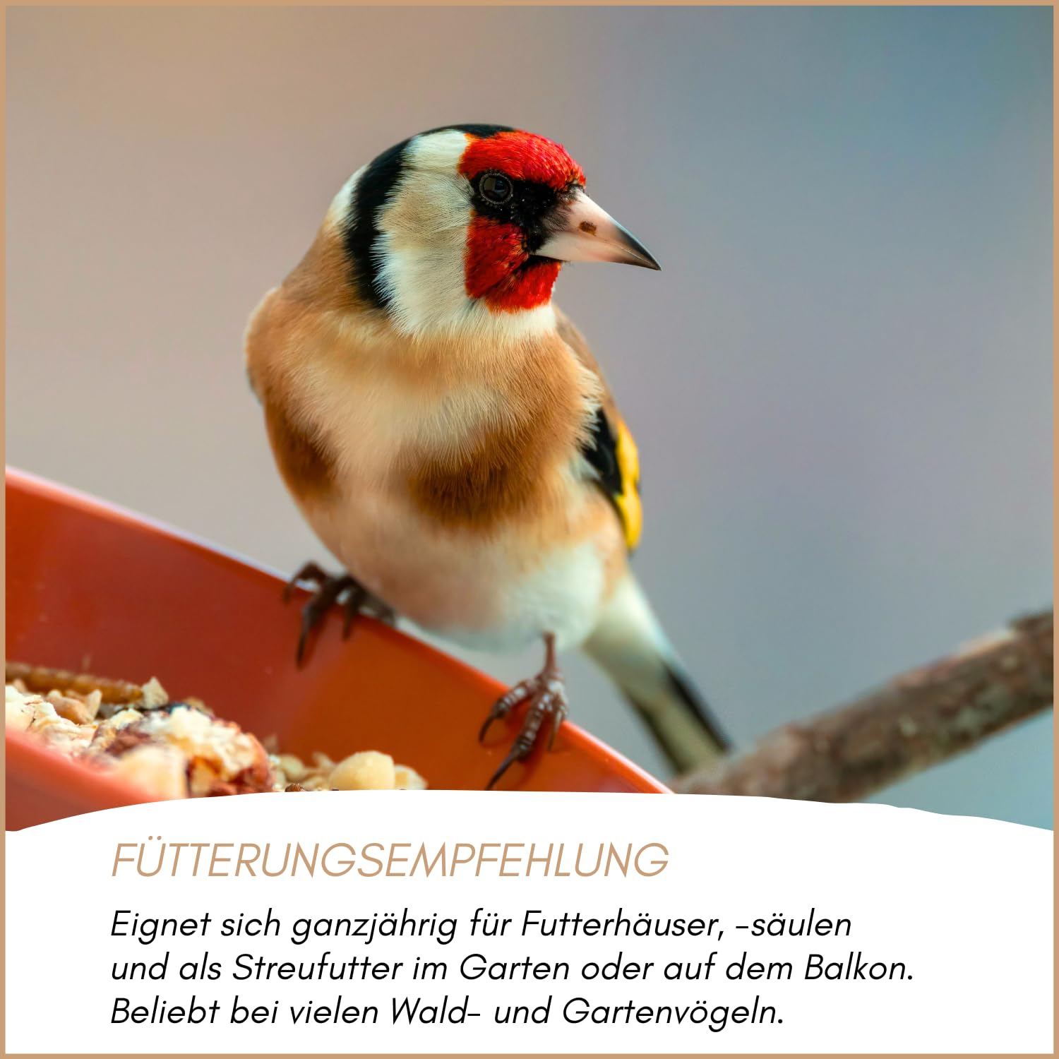 Supravit Waldvogelfutter 25kg mit Sonnenblumenkerne | | Vogelfutter Wildvögel ganzjährig & Gartenvögel | Vogelfutter Sommer | Winter Streufutter Vogel Futter für Meisen, Amseln,