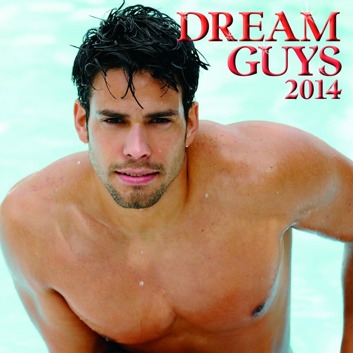 2014 DREAM GUYS Wall Calendar Office Products