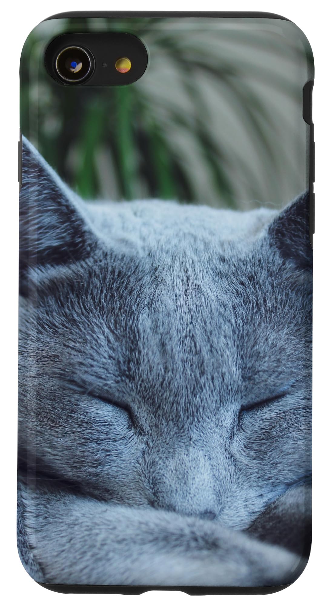 Amazon.co.jp: ロシアン・ブルー・キャット スマホケース iPhone SE