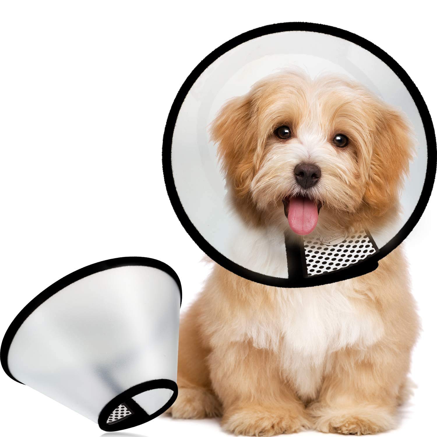 Can You Make A Pool Noodle Dog Cone? (Answered By Trainer) Not A Bully